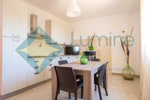 12e83aeb-555a-46cb-aa92-727d7c63518b