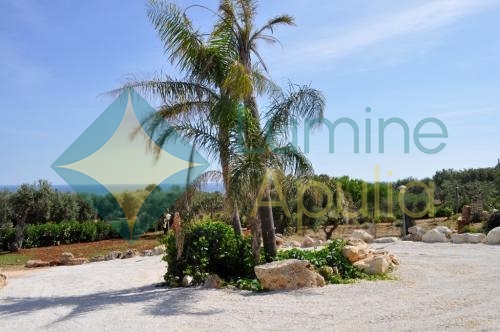 1598villa-demetra-74