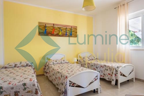 18a5a239-8761-45b5-ab78-b27b2e05b82f