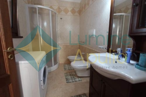 5870867660097129250_120