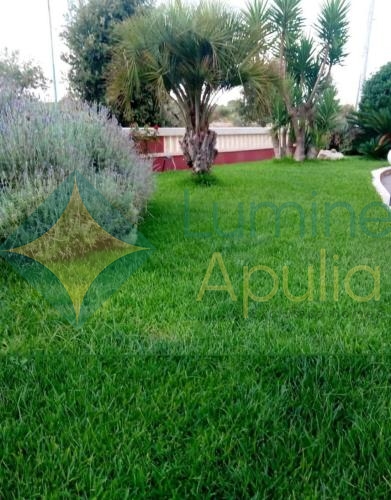 5870867660097129261_121