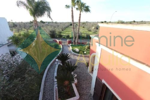 5870867660097129272_120