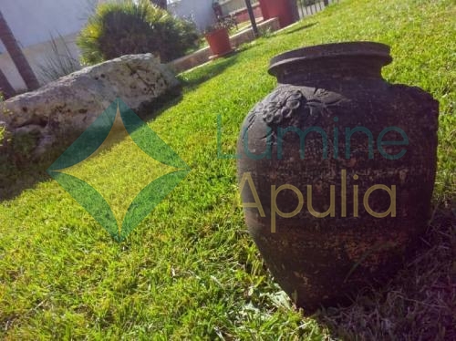 5870867660097129273_120