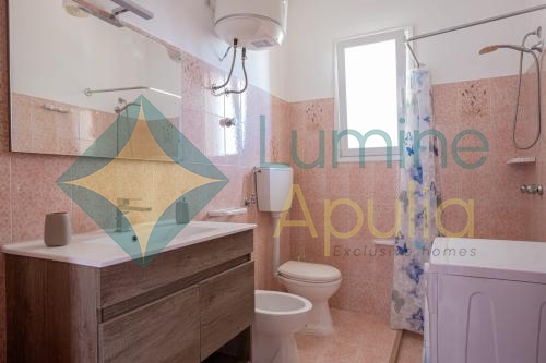 62b73019-be07-49ea-b8f3-645e0b2d8f28