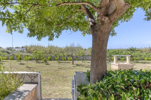 9xuqozswwmeo5p7cfaez3vwlliu5xkuajcgk9pngc-w_3000x