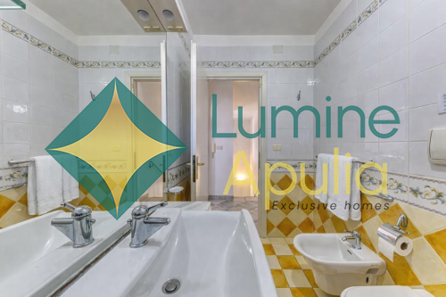 ba81bed7-e3be-48ec-b4bd-d33c63f3cdb4