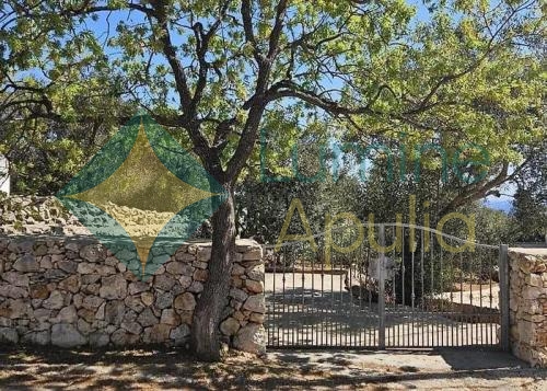 casa-maria-foresta-forte-14