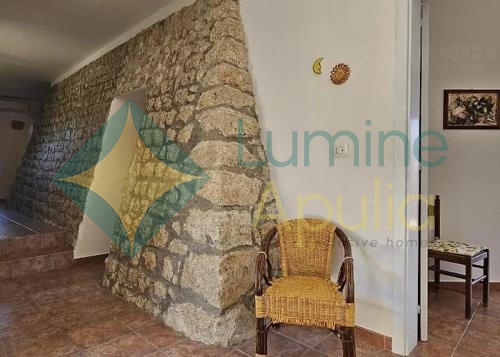 casa-maria-foresta-forte-19