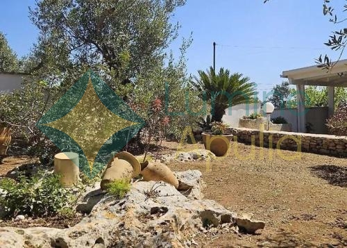 casa-maria-foresta-forte-6