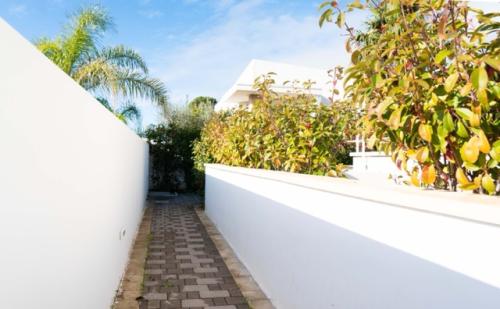 lumine_apulia-21_-_dimensioni_medie